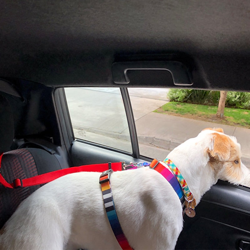 UnJardinDeFleurs™ Two-In-One Pet Car Seat Belt