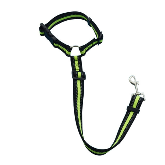 UnJardinDeFleurs™ Two-In-One Pet Car Seat Belt